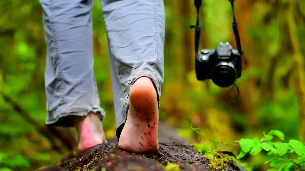 Aterramento: Como a Física e a Biologia Elevam Seu Bem-Estar
