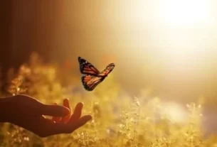 homem soltando uma borboçeta