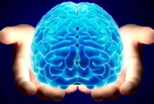 a biologia da crença