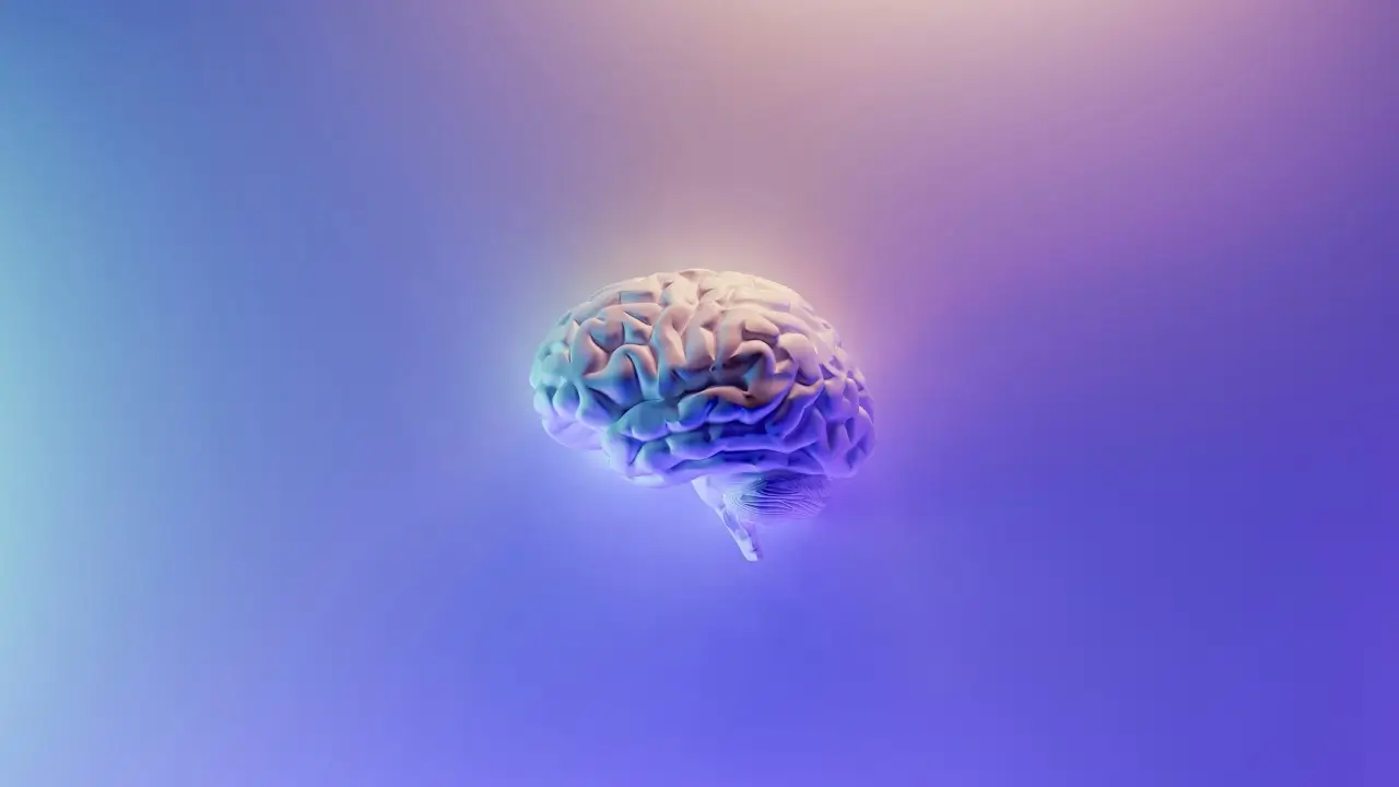 Desenho de um cerebro humano colorido Representação das ondas alfa estimulando criatividade e foco