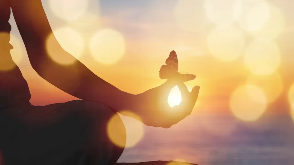 uma borboleta na mão de um homem