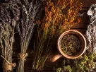 plantas medicinais brasileiras