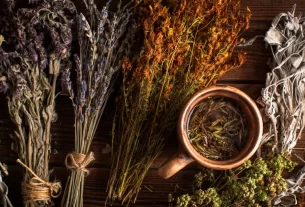 plantas medicinais brasileiras