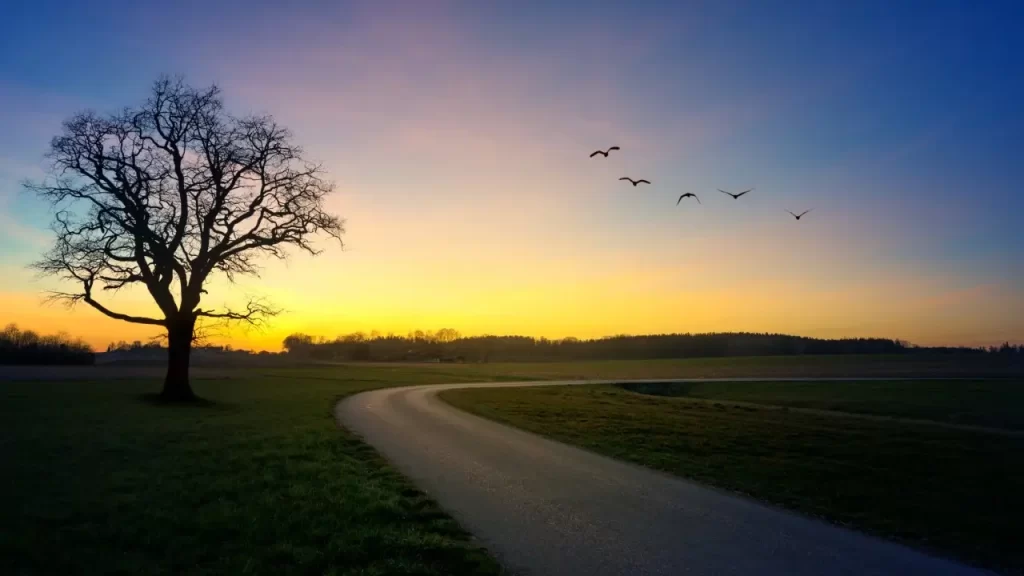 uma estrada iluminada pelo por do sol