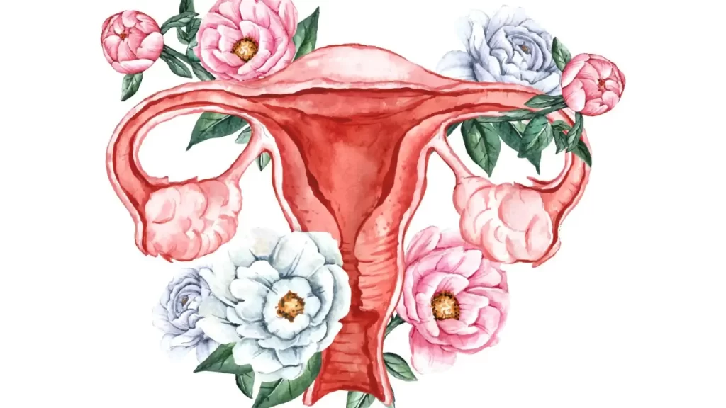 um útero desenhado com flores, simbolizando o poder do útero no sagrado feminino