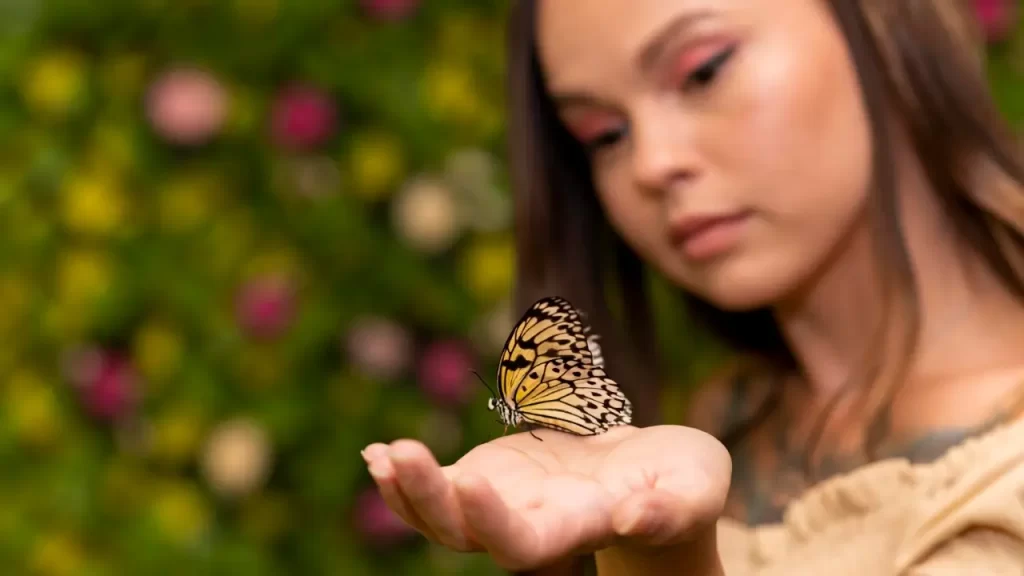Sinal espiritual de sincronicidades na natureza