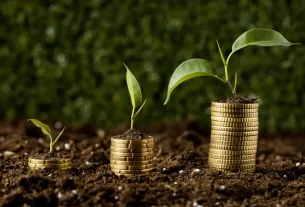 prosperidade os 12 passos para alcançar o sucesso