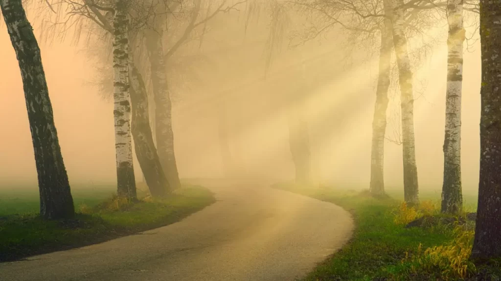 uma estrada com nevoa , representando caminho para clareza e proposito,, para o que te torne mais forte
